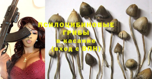 мдпв Балахна