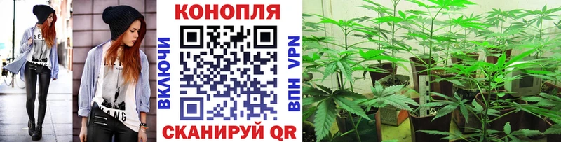 Бошки Шишки марихуана  Купить закладки  Майский 